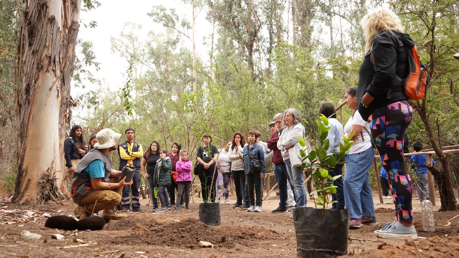 Villa Alemana Conmemora El DÍa De La EducaciÓn Ambiental En Medio De Importante CertificaciÓn