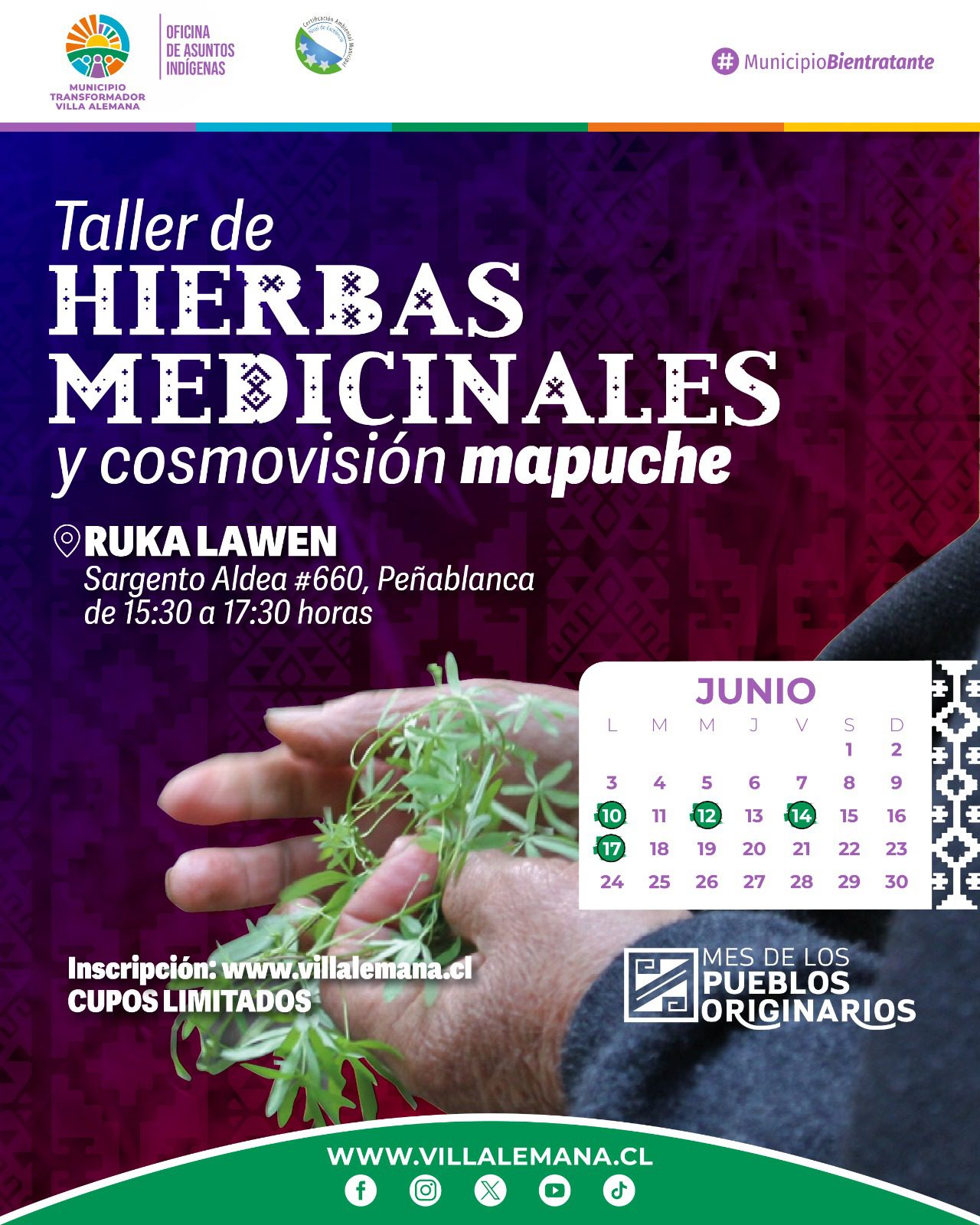 Taller de Hierbas Medicinales y Cosmovisión Mapuche