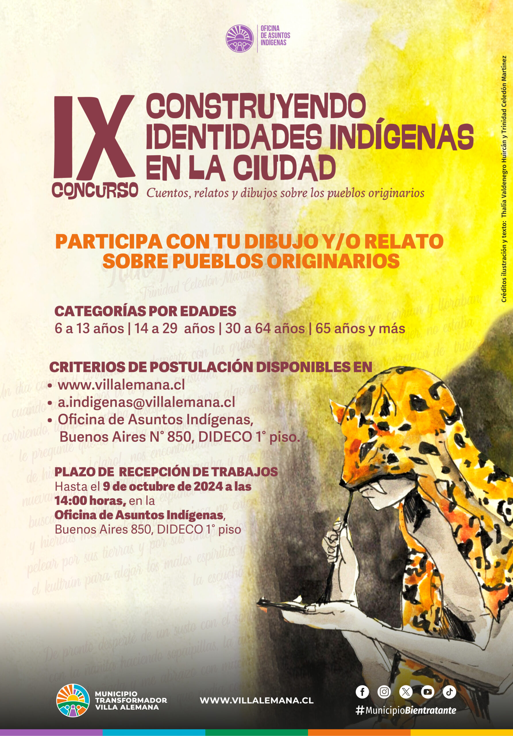 IX Concurso : Construyendo Identidades Indígenas en la Ciudad